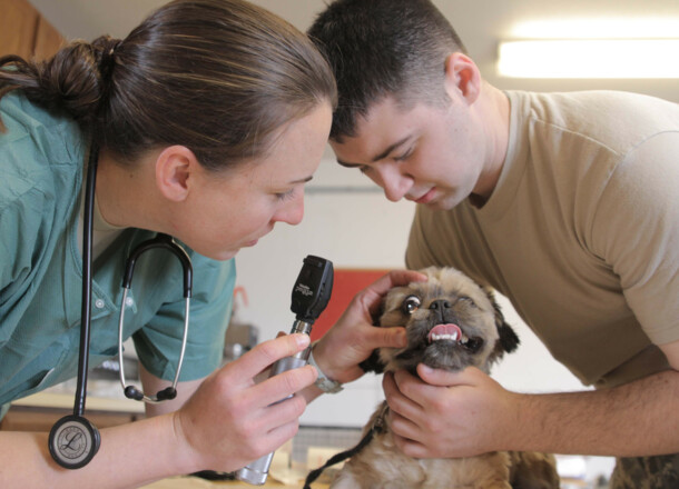 L‘ANIMALISTA - opuscolo dell'ordine dei medici veterinari della Provincia di Bolzano