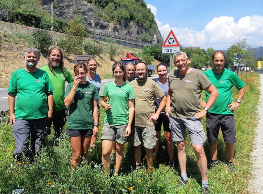 Elogio ai giardinieri della giardiniera comunale